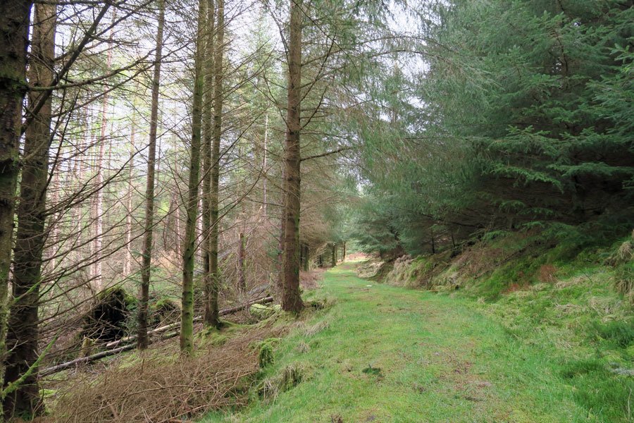 Aoineadh Mor - James's path