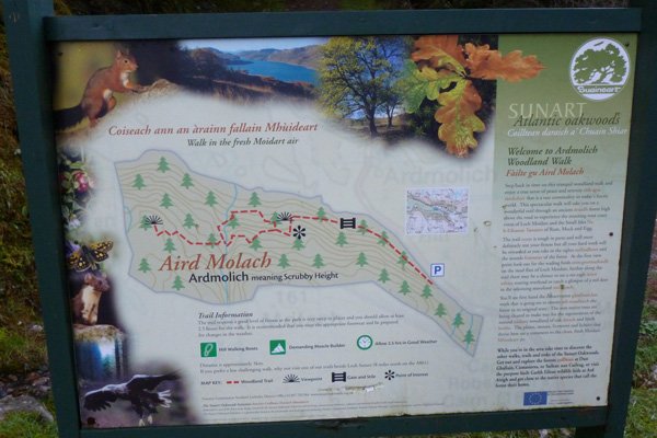 The interpretation board at the start of the Aird Molach walk