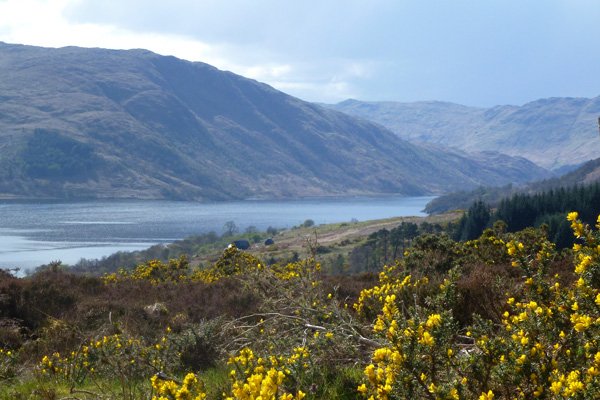 Looking down over Loch Sunart
