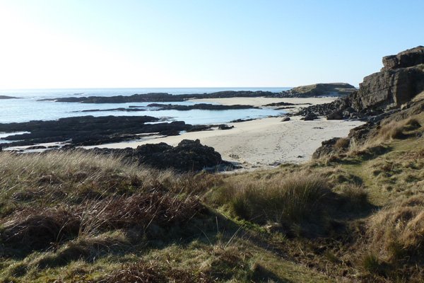 The machair and sand dunes behind the beach are species rich 