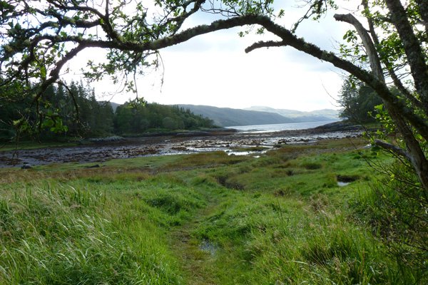 Salt Marsh and shingle