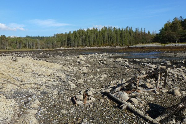 The harbour used to be used to export charcoal