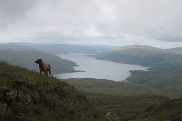 Ben Resipole where only dogs and eagles dare