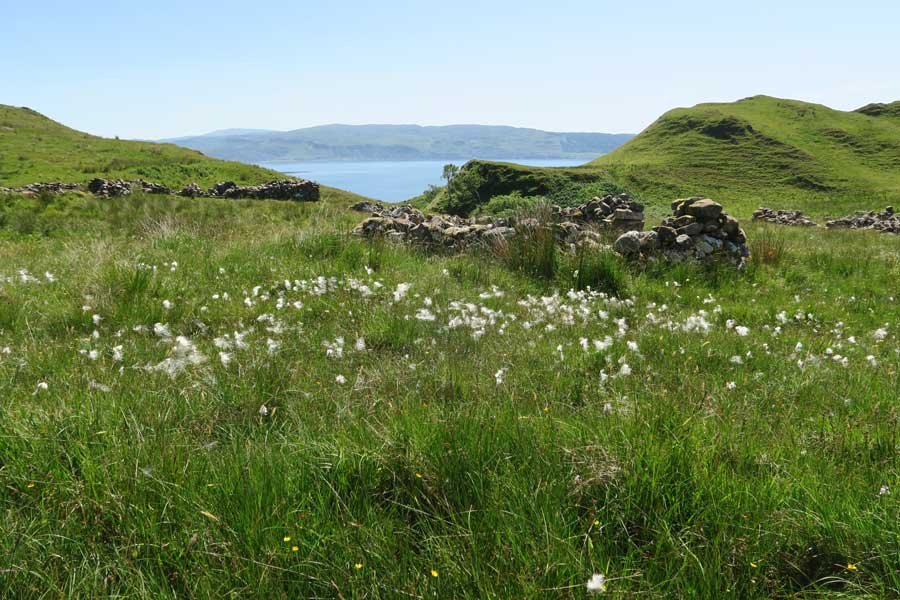 Bourblaige Cleared Settlement