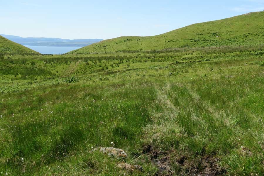 From Bourblaige you can head down the Loch Sunart
