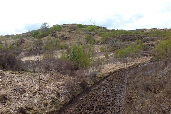 The path past Loch Dubh can be quite muddy