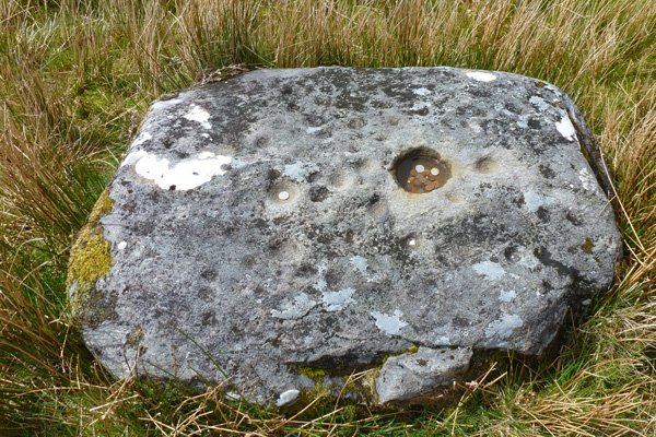 The cup marked stone