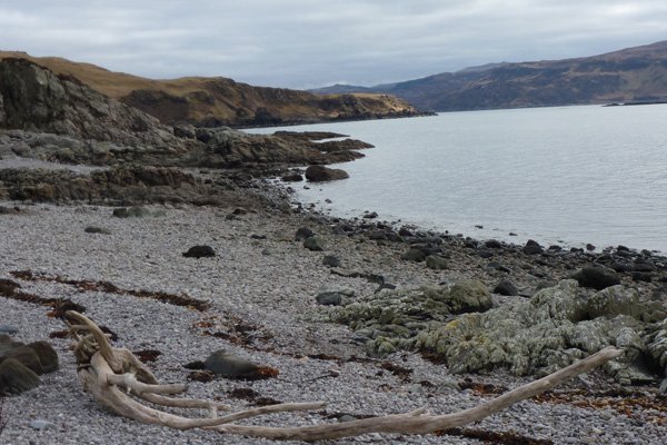 Looking eastwards along the coast