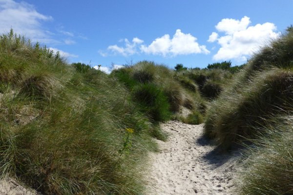 The sandy path from the car park to the beach