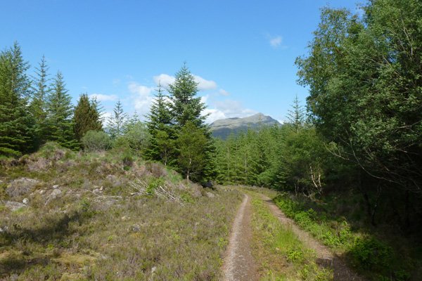 Glimpses of Ben Resipole