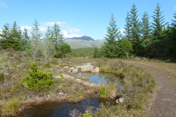 One of the lovely small lochans seen on route