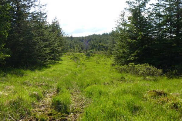 The track towards the end