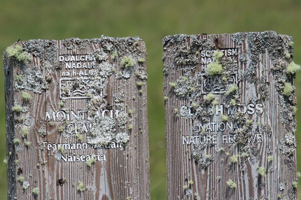 Lichens on the old Claish Moss NNR sign