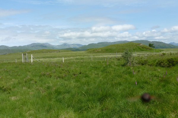 The fence and deer gate at Claish Moss