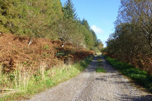 The start of the walk at the end of the public road above The Ben View Hotel