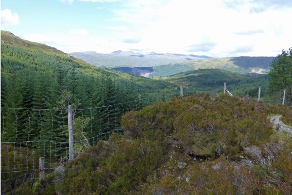 Views from the path between Strontian and Polloch