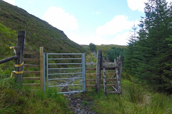 Pass through the metal gate