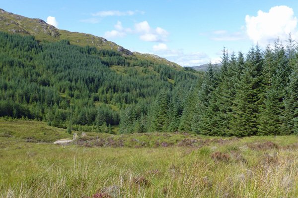 Continue down towards The Corrantee lead mines