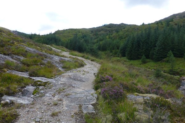 After leaving the plantation the path and views open out