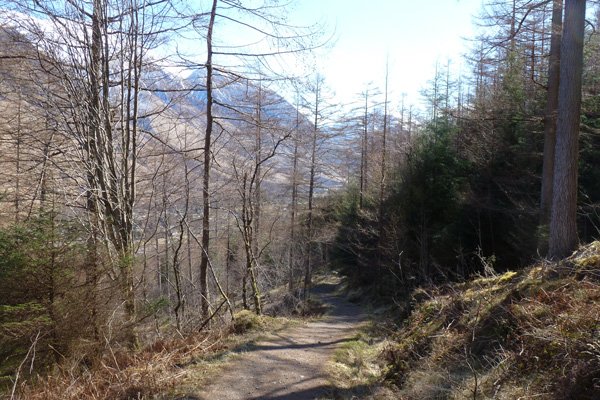 The path and views on the Cow Hill Circuit