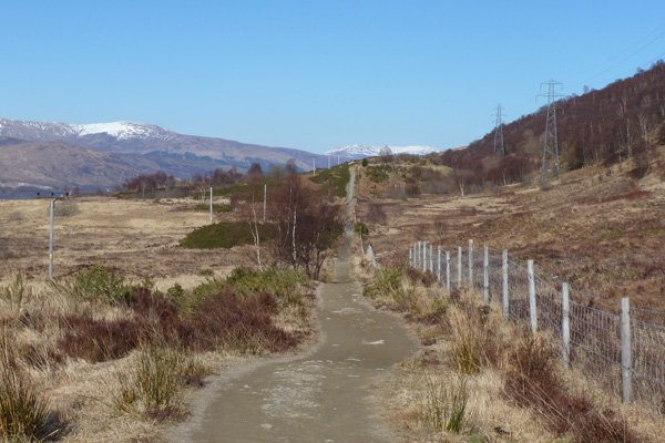 The path flanking Cow Hill Summit near end of the walk
