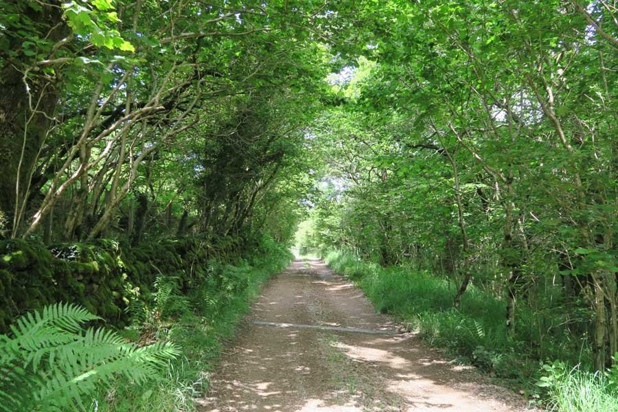 St Columba's Chapel Walk, Drimnin