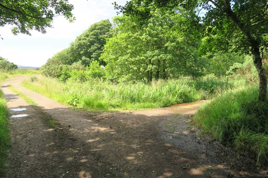 St Columba's Chapel Walk, Drimnin