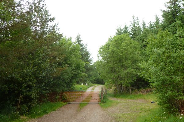 The start of the walk to Erracht Oakwoods