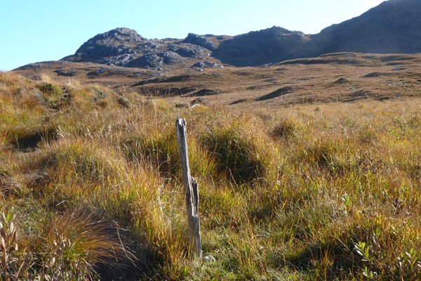 The path is partially waymarked by some posts