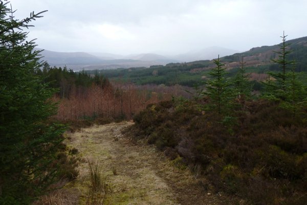 view down from the blue walk