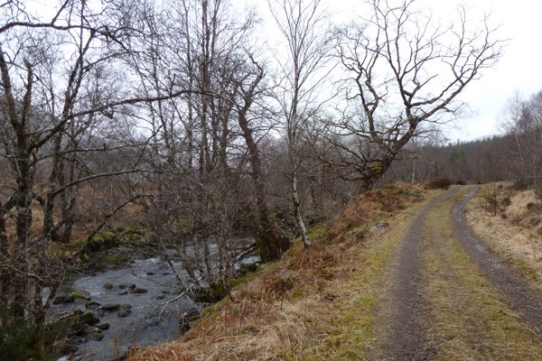Gleann Suileag, watch out for dippers