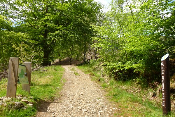 The start of the pine marten and the last clansman trails