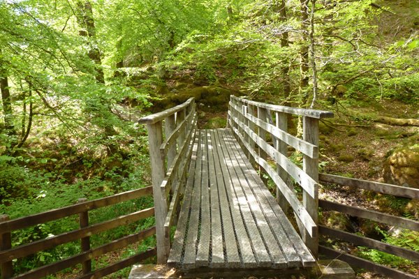 Wooden bridge across Allt Coire Mulrooney 