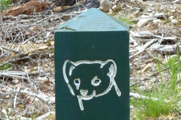 The signposts on route for the Pine Marten Trail