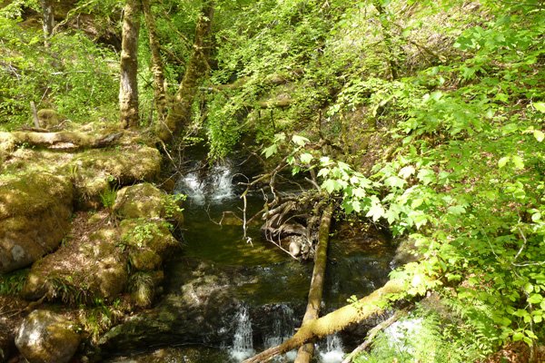 Allt Coire Mulrooney cutting through the bedrock
