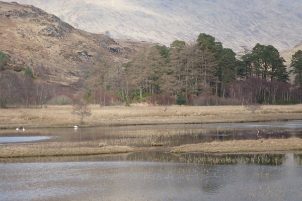 Loch nan Lochan in Glen Moidart