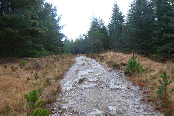 A section of Wade's road