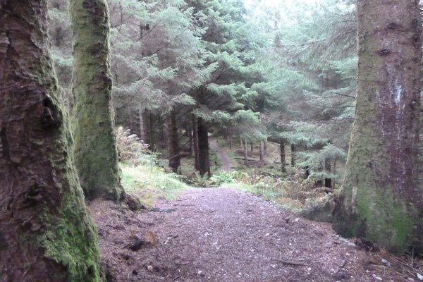 Path back to car park