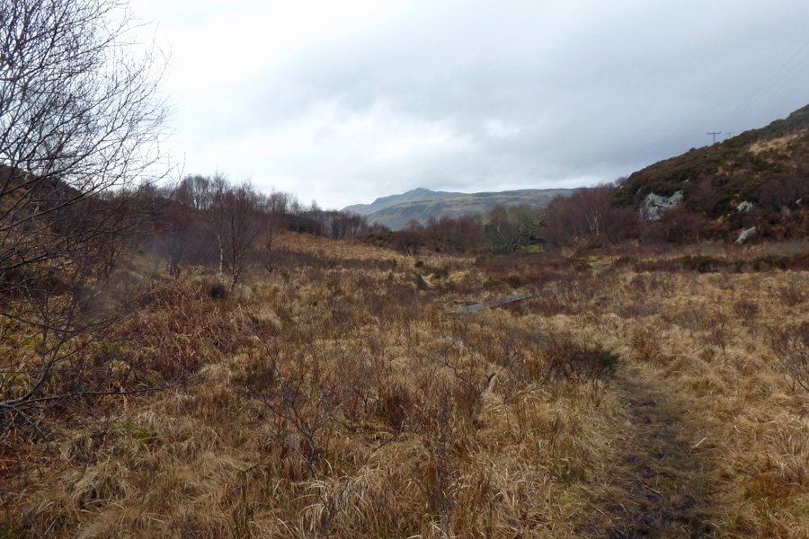 Some of the walk can be a little boggy