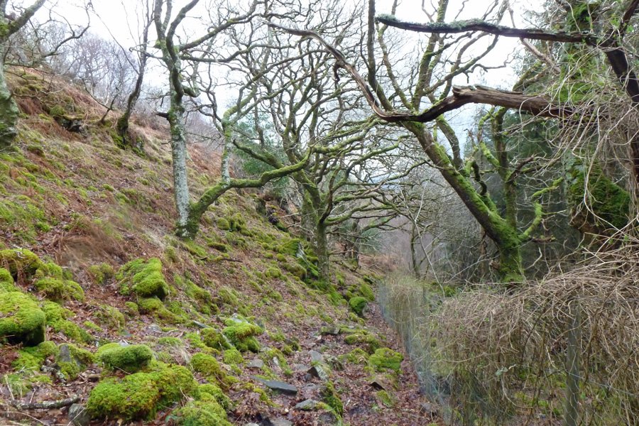 A slightly tricky section descending by the fence line