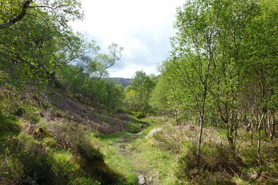 RSPB Glenborrodale