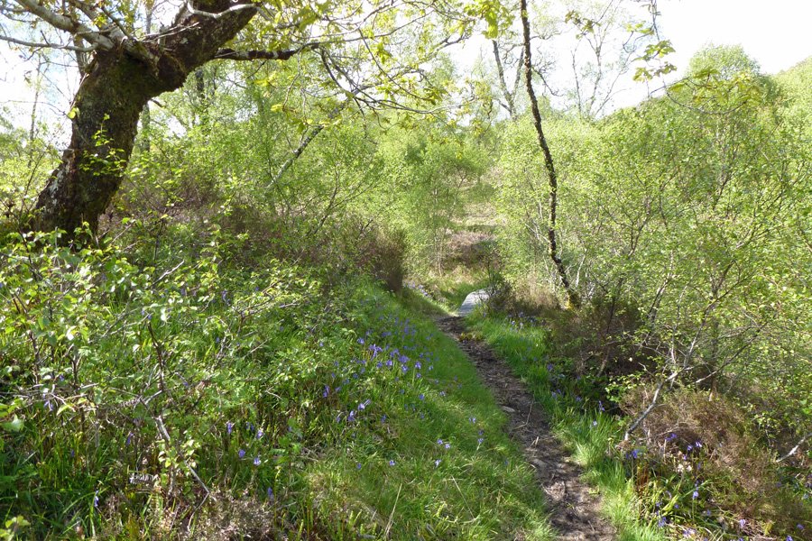 For most part the path is easy walking