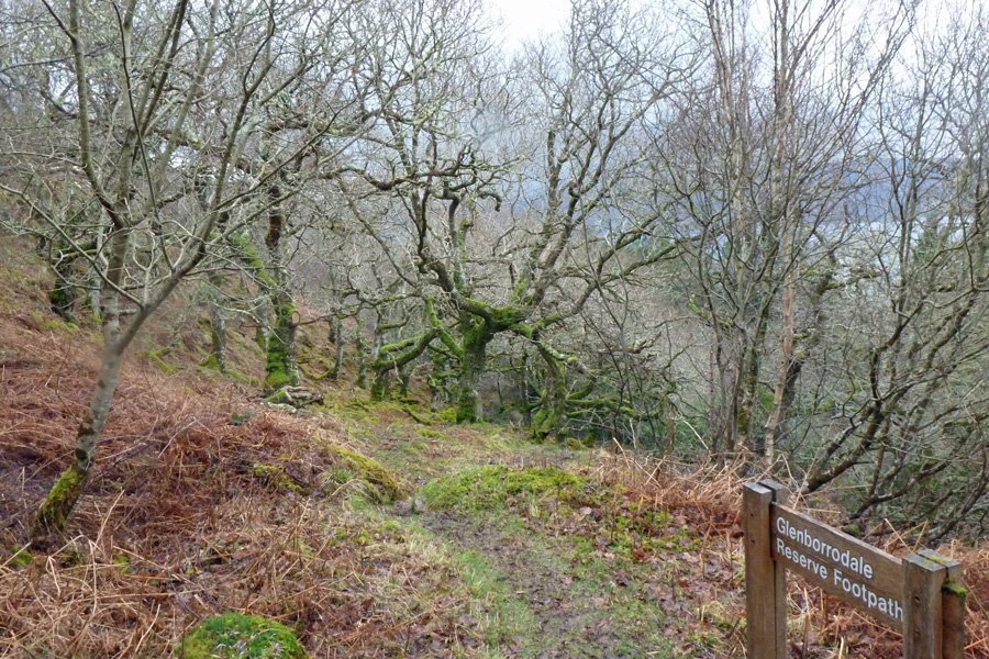 The path in March