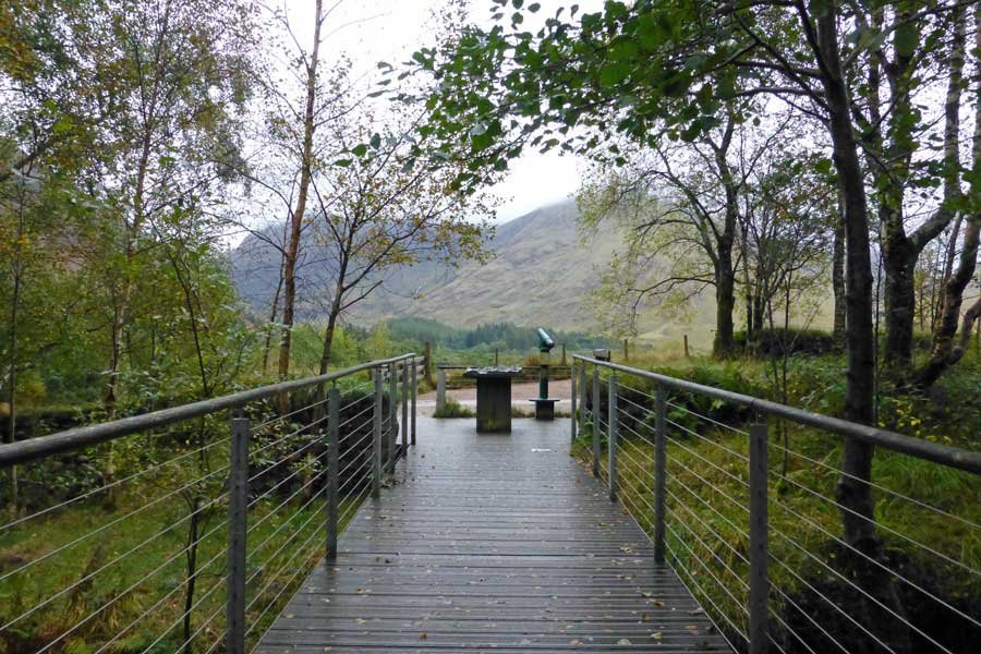 Glencoe Woodland Walk