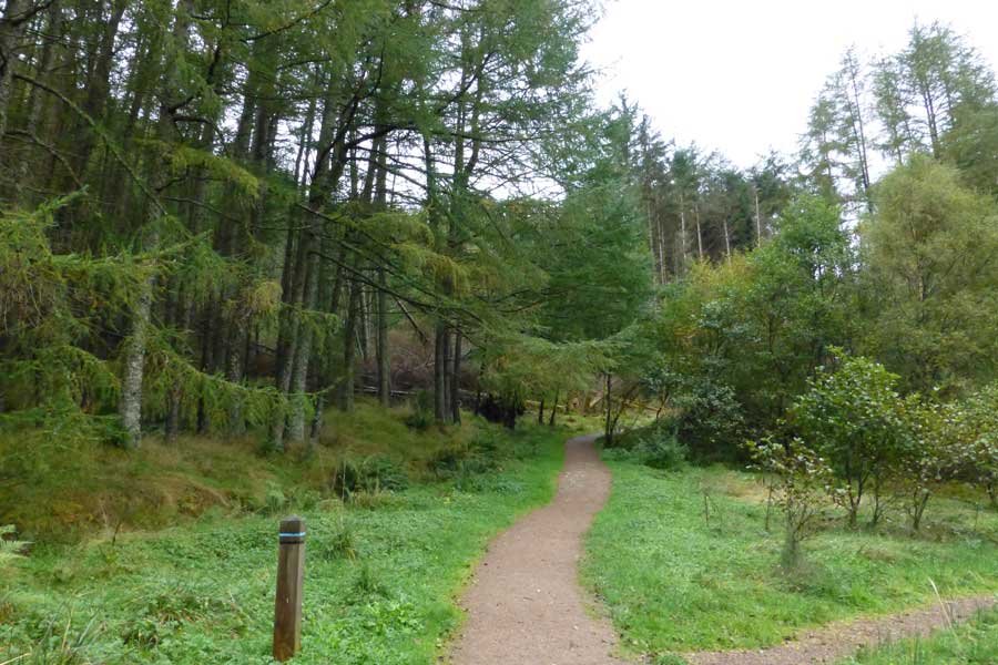 Glencoe Woodland Walk