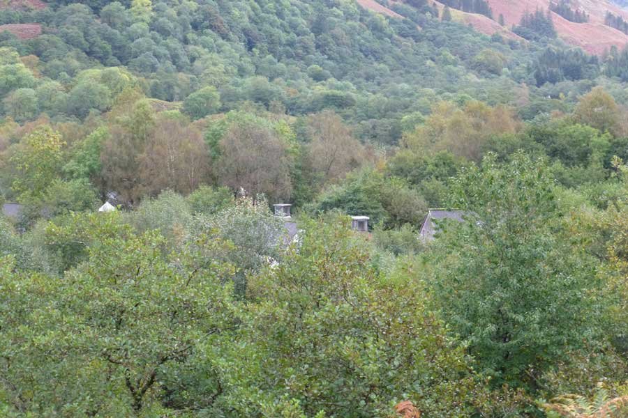 Glencoe Woodland Walk