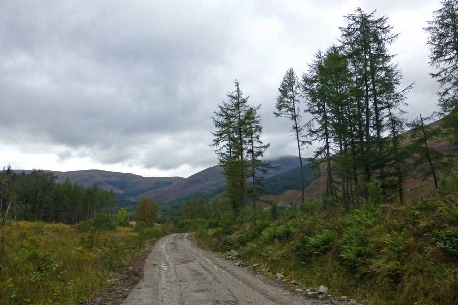 Glencoe Woodland Walk