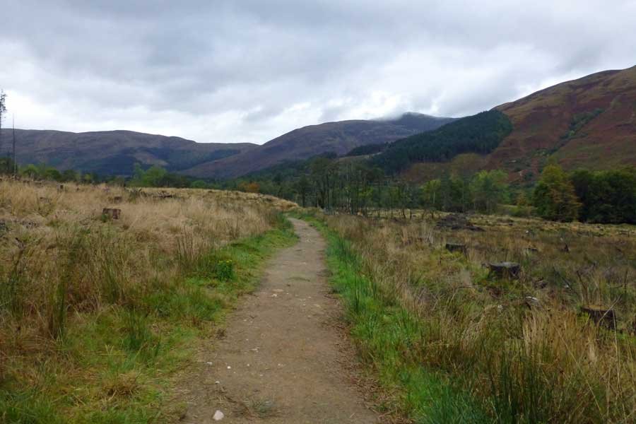 Glencoe Woodland Walk