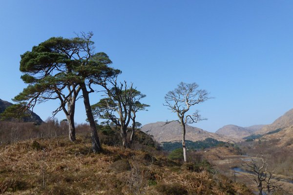 The view from the River Viewpoint