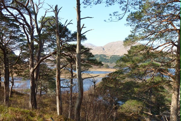 The view from the Hill Viewpoint